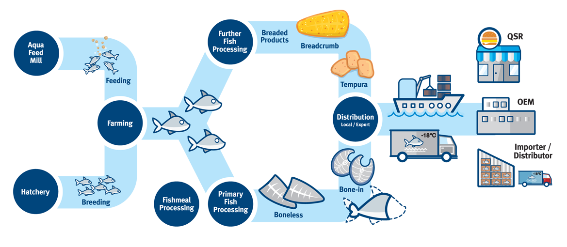 Fish product processing. Microbiology of Fish and Fish products.. Processed Fish. Схема процесса дистрибуции мяса. The process of finding